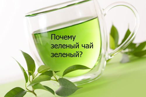 Почему зеленый чай зеленый ?