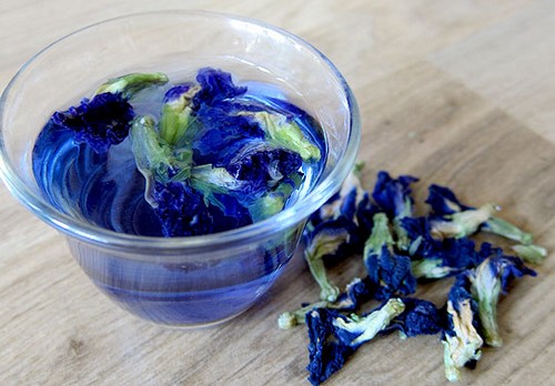 Голубой чай Черный дракон - оолонг. Сбор, полезные свойства и способ заваривания