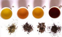 Классификация чая по всем типам