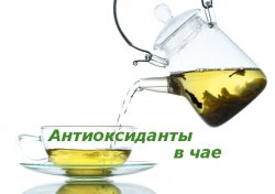 Антиоксиданты в чае