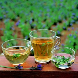 Шесть самых лучших зеленых чаев и их описание