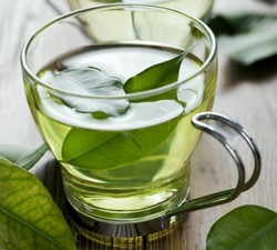 Зеленый чай против раковых заболеваний