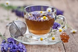 Чай с лавандой: польза, рецепты