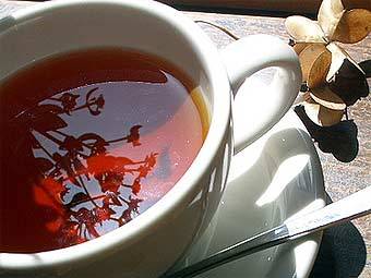 Чайный напиток ханибуш и его полезные свойства