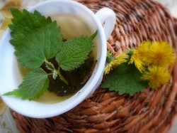 Зеленый чай с мятой и его польза